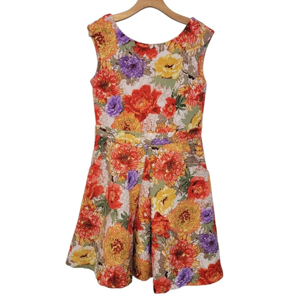 Danny & Nicole Dress Sleeveless Floral Colorful Fit & Flare Size 10 NEW NWT